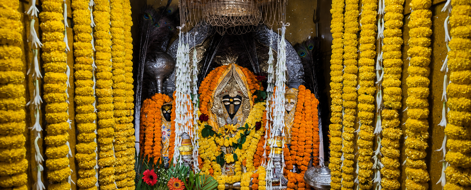 बगलामुखी मंदिर परिसर